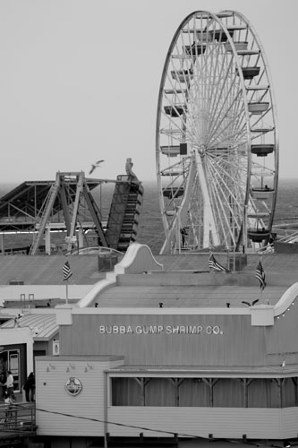 Ferris wheel at Santa Monica pier