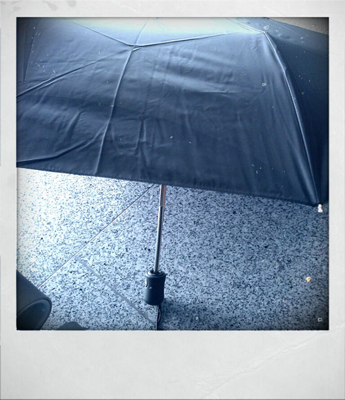 Open umbrella